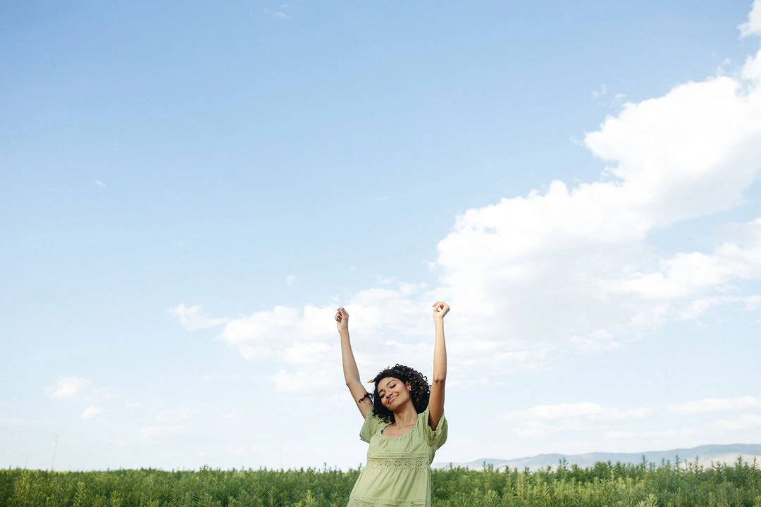 Piper & Scoot The Elba Eyelet Detail Dress In Green