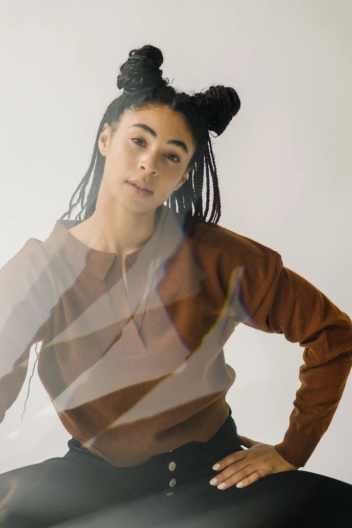 Piper & Scoot The Julius V-Neck Sweater In Chocolate