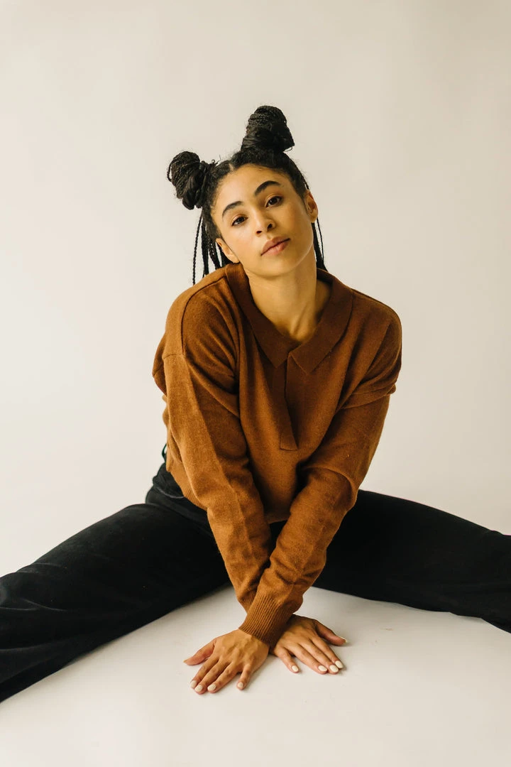 Piper & Scoot The Julius V-Neck Sweater In Chocolate