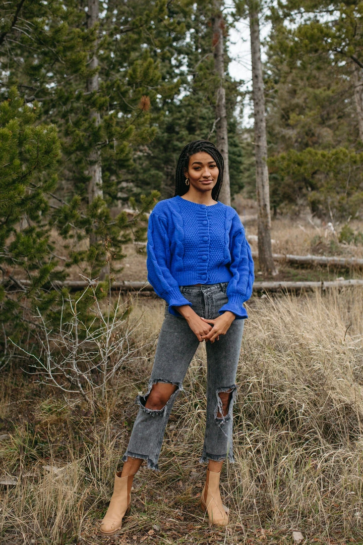 Piper & Scoot The Walken Cable Knit Cardigan In Royal Blue