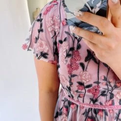 Piper & Scoot Dresses The Asha Embroidered Lace Detail Dress In Blush